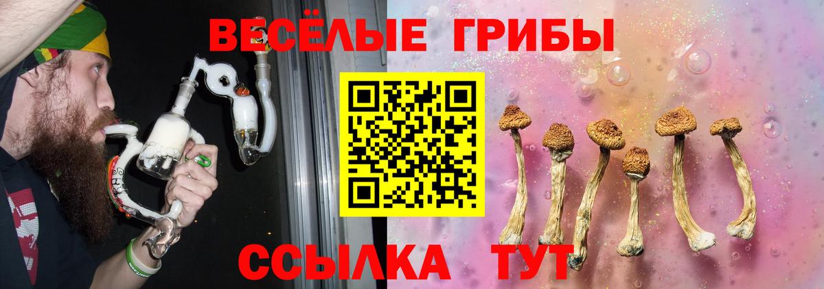 где можно купить   Псилоцибиновые грибы Psilocybe  Вход с VPN  Чебаркуль  Псилоцибиновые грибы ЛСД 